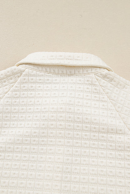 Beige Pineapple Textured Half Button Collared Sweatshirt